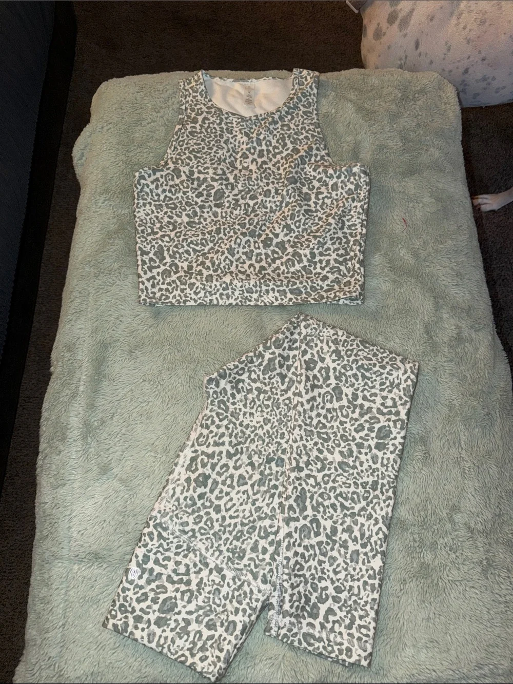 Balance Collection Sage Green Leopard Print Sports Bra & Leggings Set